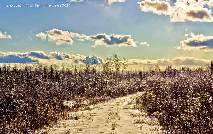 the path to the iceland (web).jpg