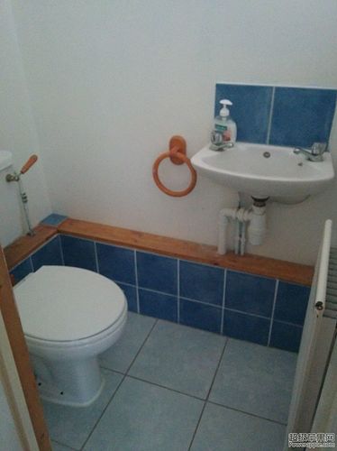 Downstair toilet.jpg