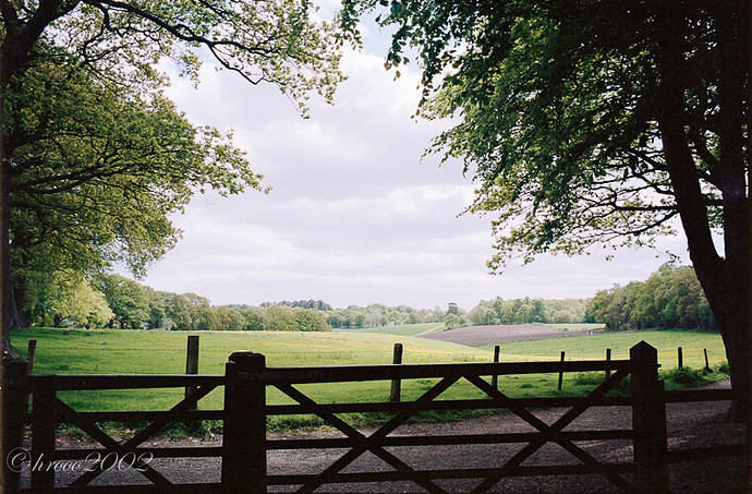 Alderley Edge-4.jpg