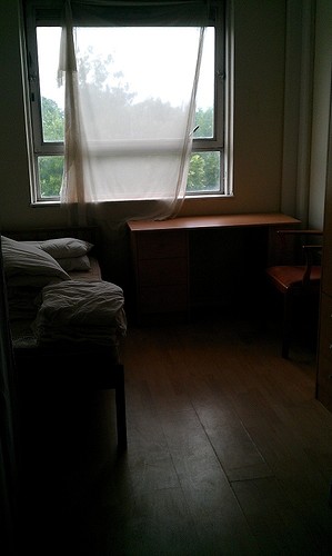 IMAG0276.jpg