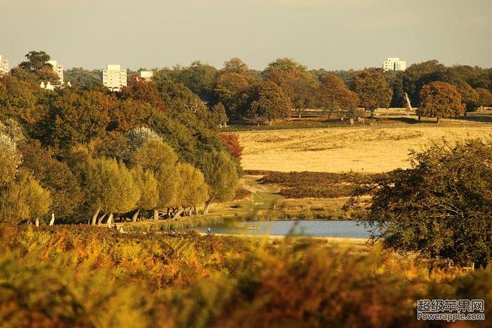 best-parks-in-london-richmond-park-4079046324_e86f80da16_o.jpg