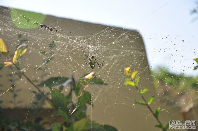 DSC_0142_副本.jpg