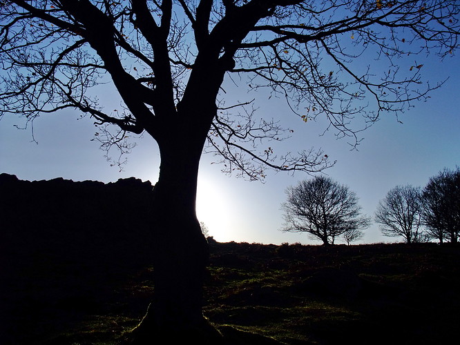 DSCF3880.JPG