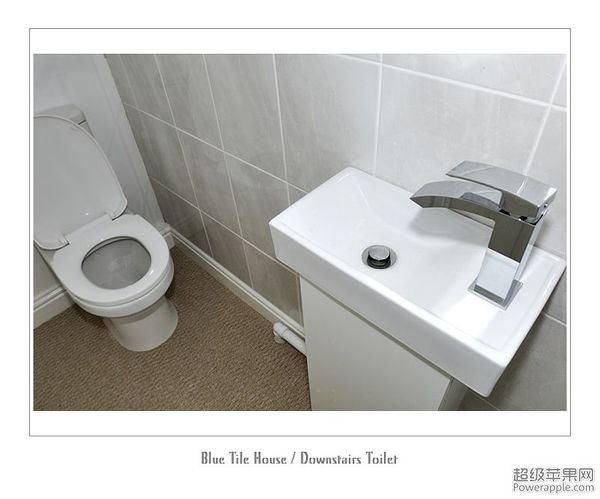 Downstair Toilet b.jpg