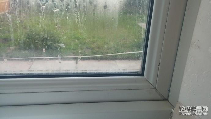 20160602_203036.jpg
