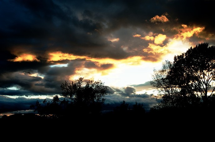 ccx_3445.jpg