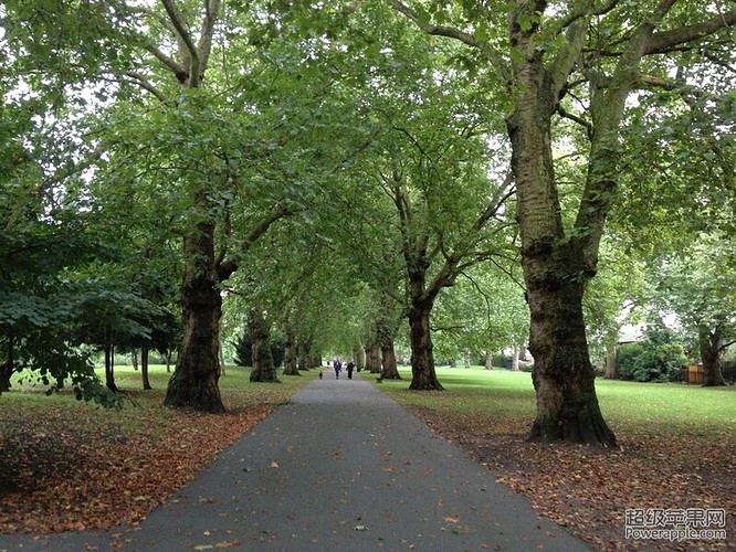 Southwark Park.JPG