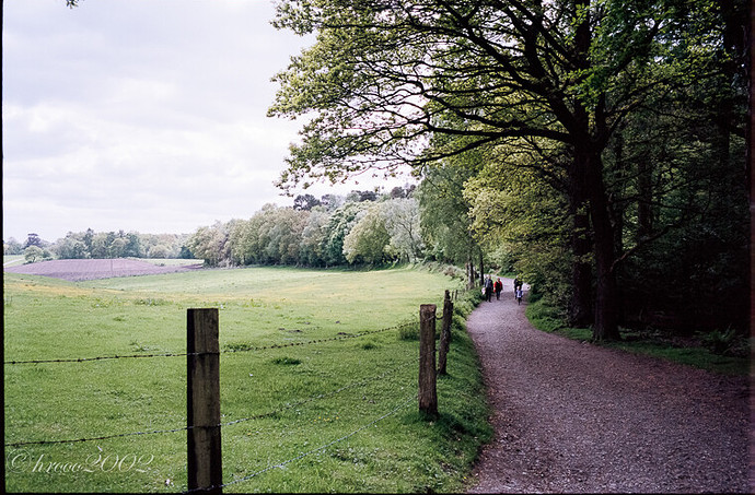 Alderley Edge-7.jpg