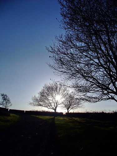 DSCF3888.JPG