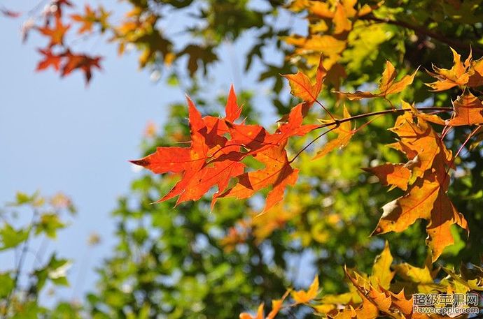 DSC_0136_副本.jpg