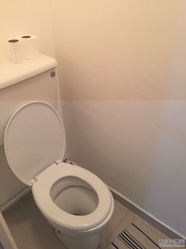 toilet 2.jpg