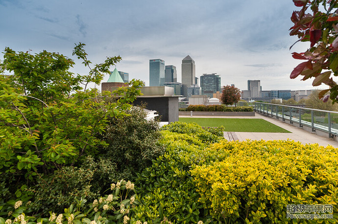 terrace garden.jpg