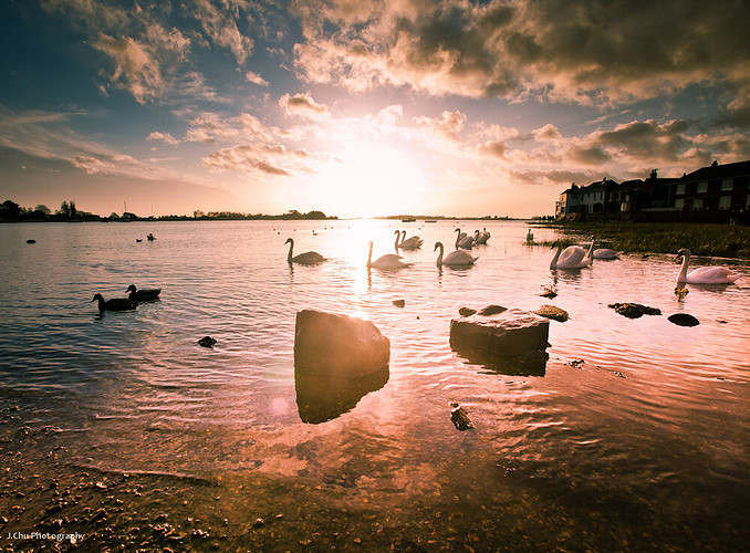 Bosham-9675.jpg