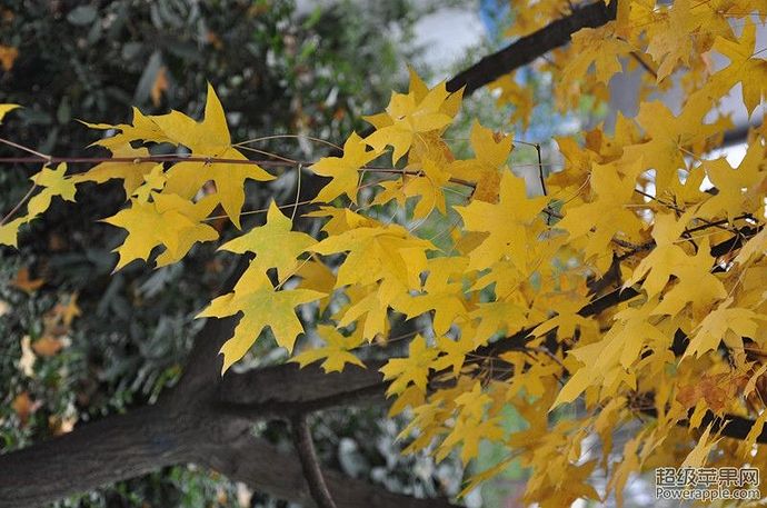DSC_0361_副本.jpg