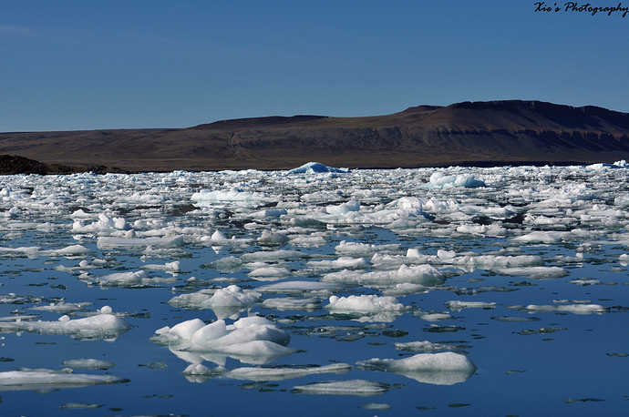 DSC_0315.jpg