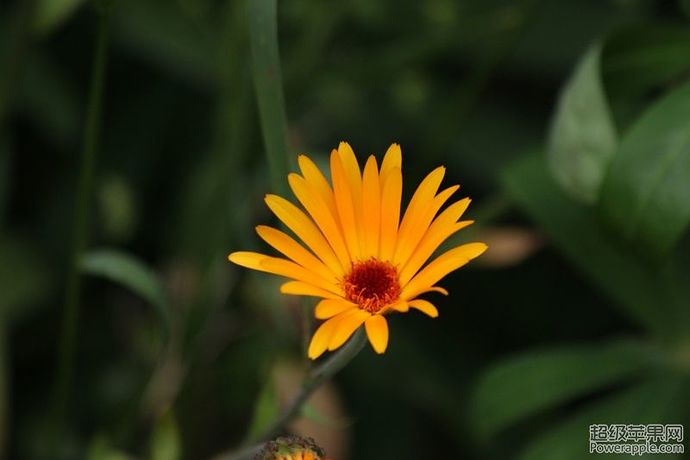 IMG_1024_副本.jpg