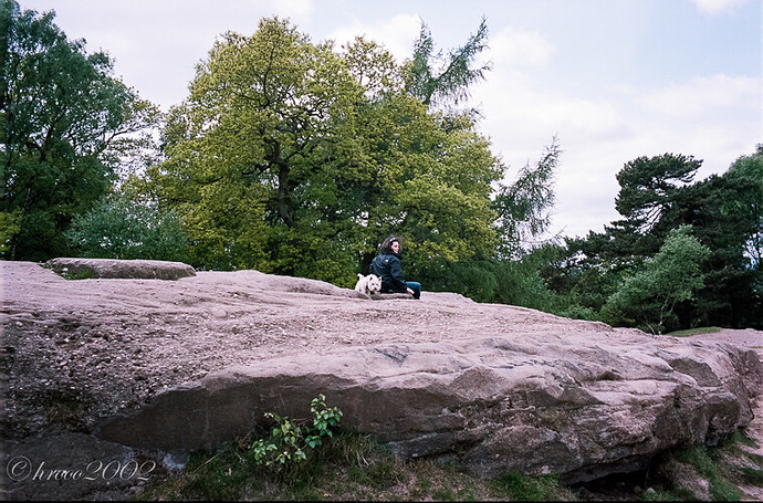 Alderley Edge-2.jpg