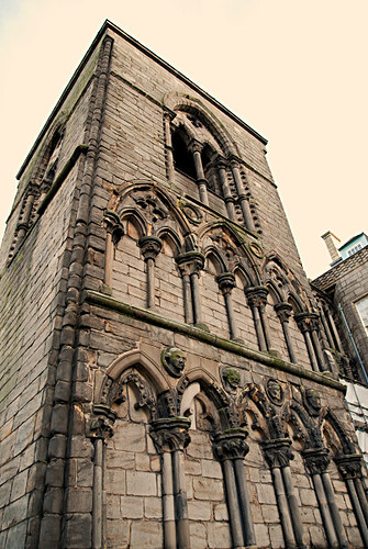 DSC_5508.JPG