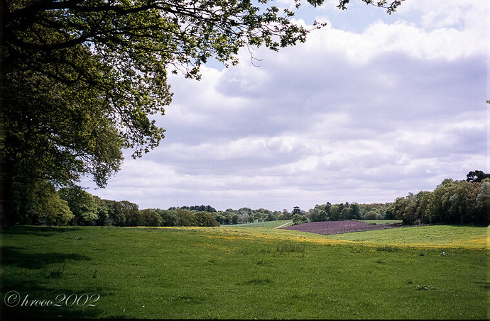 Alderley Edge-8.jpg