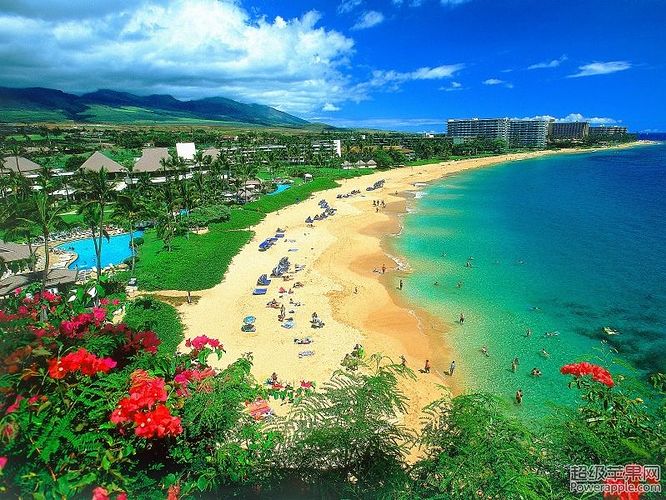Hawaii-Pica.jpg