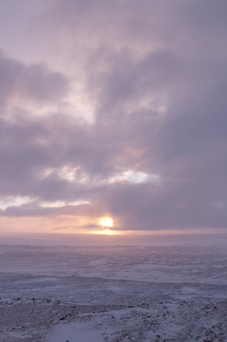 20120218_Xie_Greenland_00123.jpg