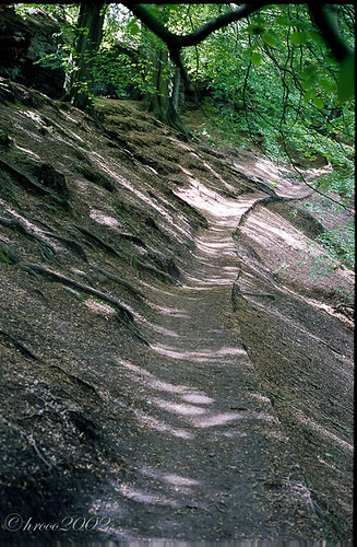 Alderley Edge-3.jpg