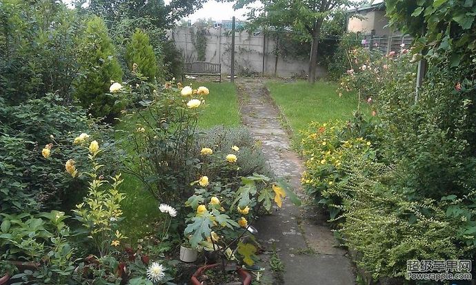 autumn 2013.JPG