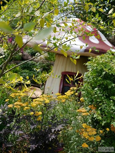 小屋1.jpg