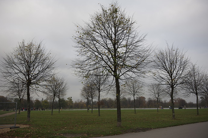 DSC_1002.jpg
