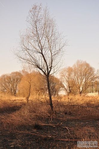 DSC_0954_副本.jpg