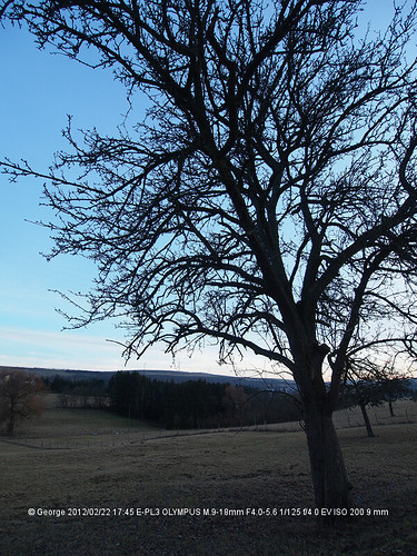 P2226668.jpg