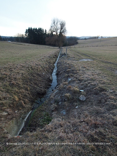 P2226656.jpg