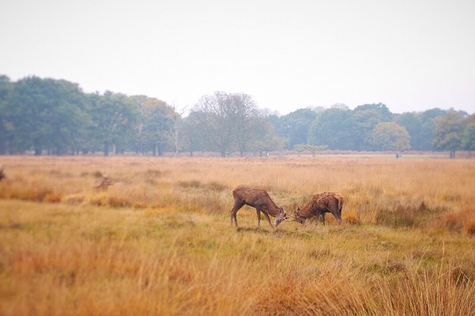 P1090224.jpg