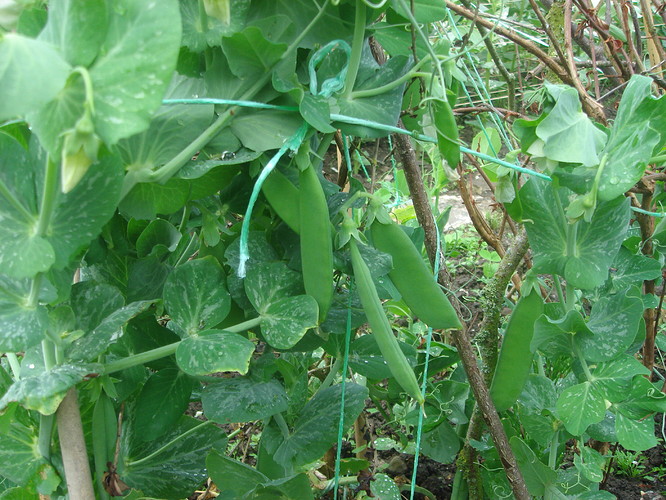 DSC05105.JPG