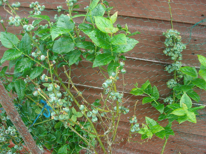 DSC05107.JPG
