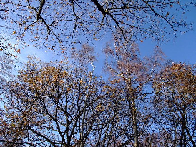 DSCF3868.JPG
