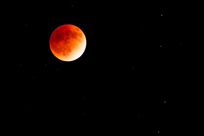 DSC_7655.jpg