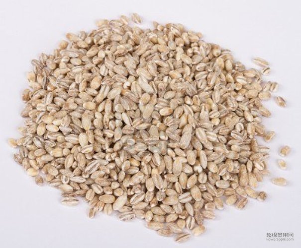 12912054-pearl-barley-heap-isolated-on-white.jpg