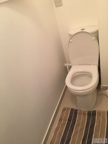 toilet 1.jpg