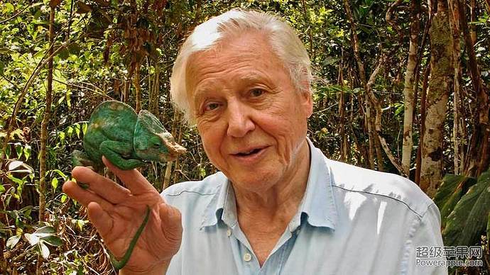 David Attenborough.jpg