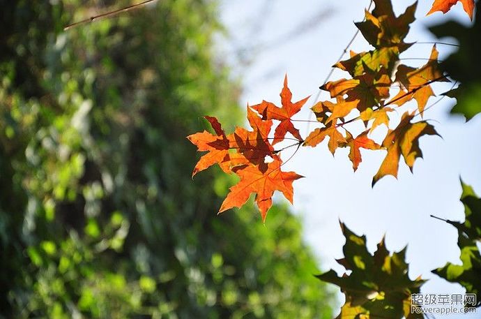 DSC_0139_副本.jpg