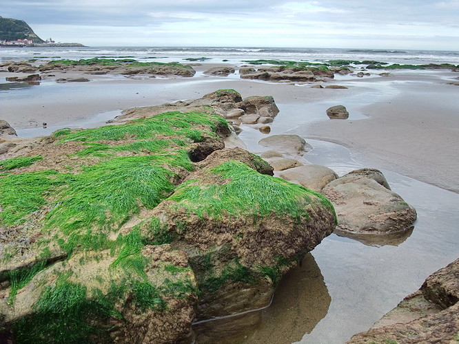 DSCF1932.JPG