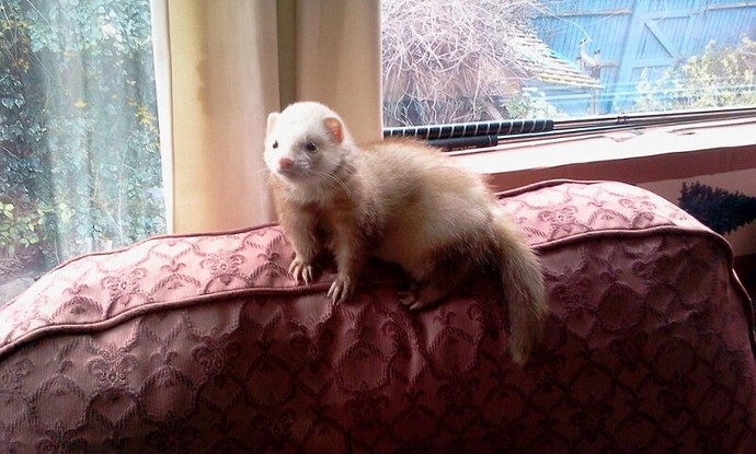 2011-03-26 16.34.38.jpg