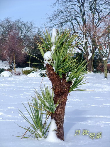 DSCF4042.JPG