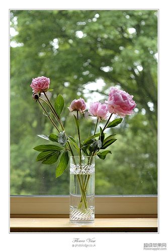 Flower Vase_07_Jun.jpg