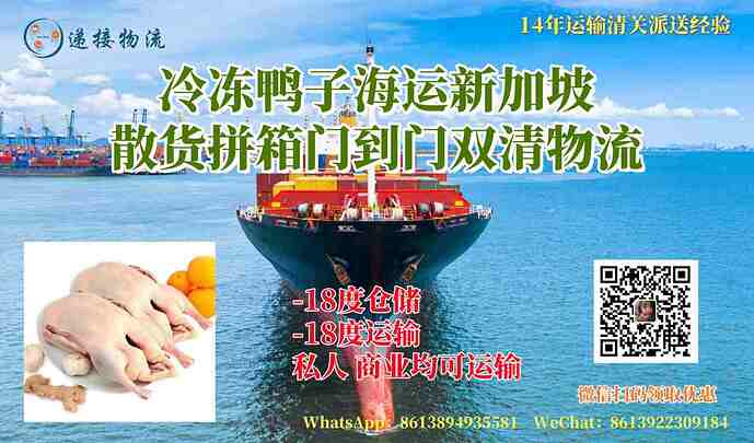 冷冻鸭子海运新加坡