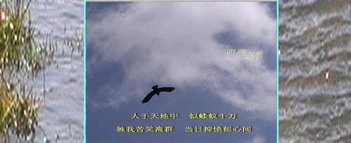 360截图20120201054018500.jpg