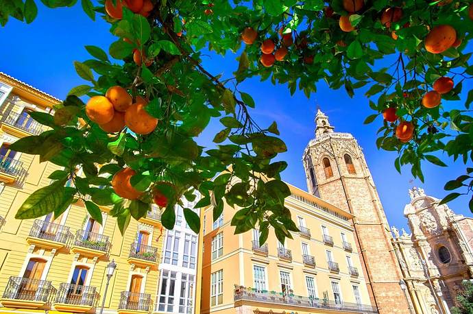 Valencia-Spain-Plaza-de-la-Reina-with-Orange-Tree-shutterstock_548069473