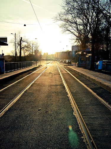 _C281584.JPG
