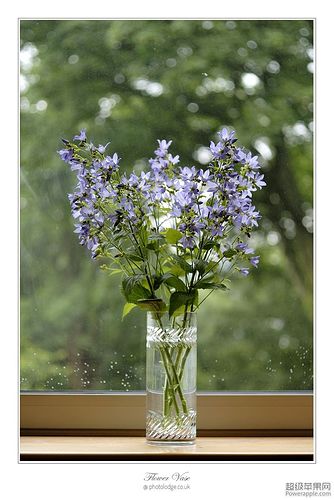 Flower Vase_09_Jul.jpg
